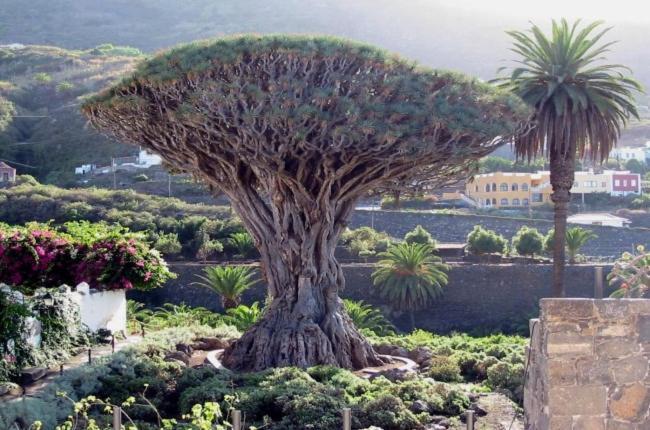 Las Casitas Del Bebedero - Yoga & Ecoturismo إيكود ذي لوس فينوس المظهر الخارجي الصورة