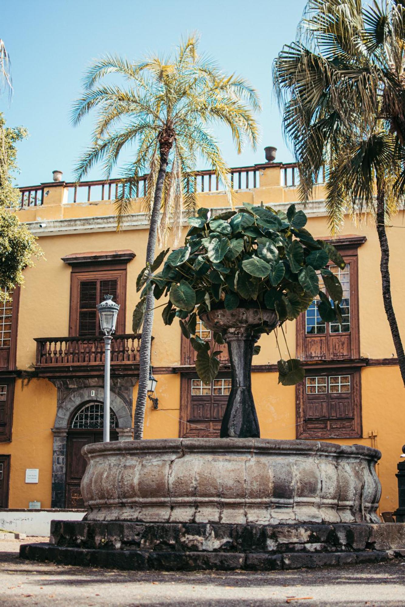 Las Casitas Del Bebedero - Yoga & Ecoturismo إيكود ذي لوس فينوس المظهر الخارجي الصورة